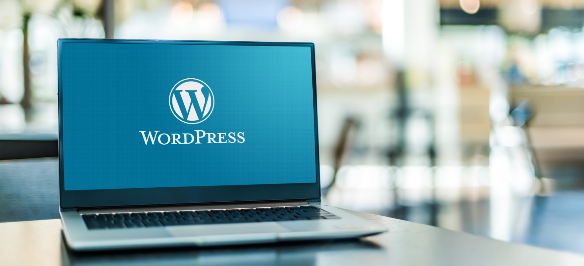 WordPress wapu